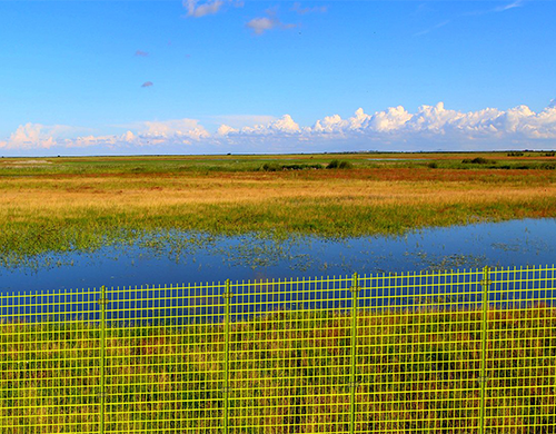 生态湿地防护网
